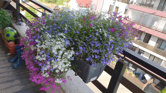 jardiniere santino