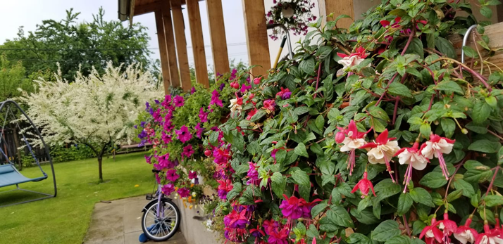 jardinierele cu auto-udare