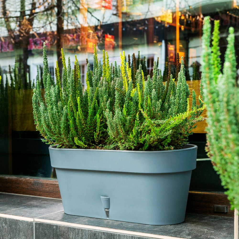 11 (1) Jardiniera Happy Plants Window Box Latina - Crem 39.5cm (6.7 litri) - imagine 4