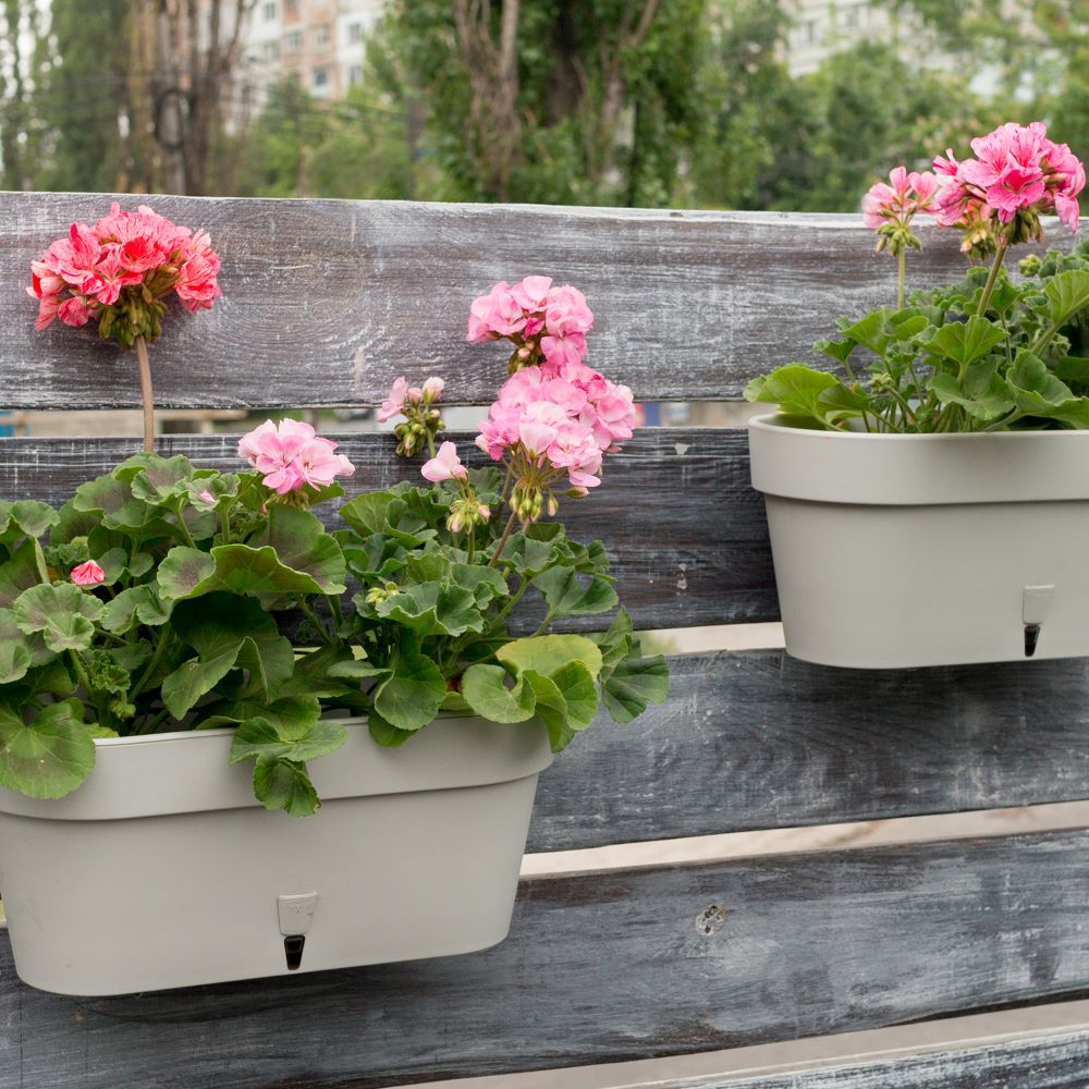 14 (1) Jardiniera Happy Plants Window Box Latina - Crem 39.5cm (6.7 litri) - imagine 5