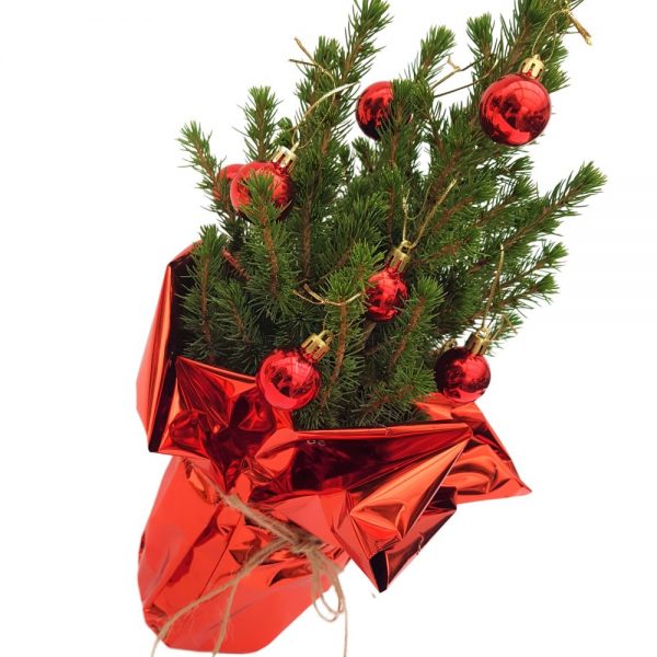 Decor Bradut Picea impodobit nr 1