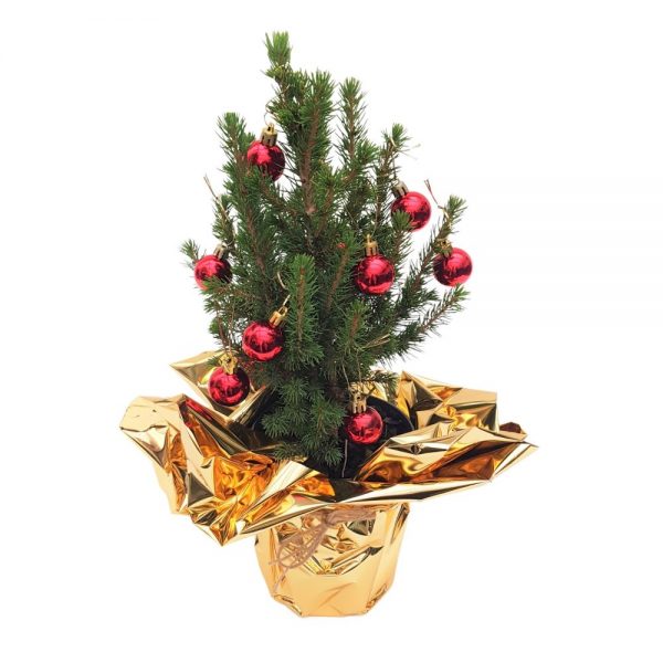 Decor Bradut Picea impodobit nr 1