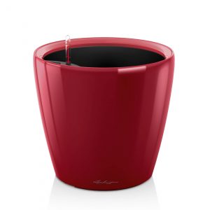 Lechuza Classico Premium - All In One - Rosu scarlet 35 cm