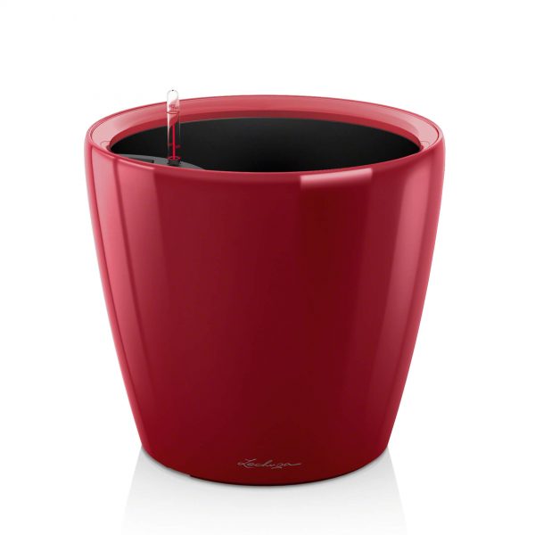 Lechuza Classico Premium - All In One - Rosu scarlet 35 cm