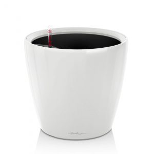 Lechuza Classico Premium - All In One - Alb 50 cm