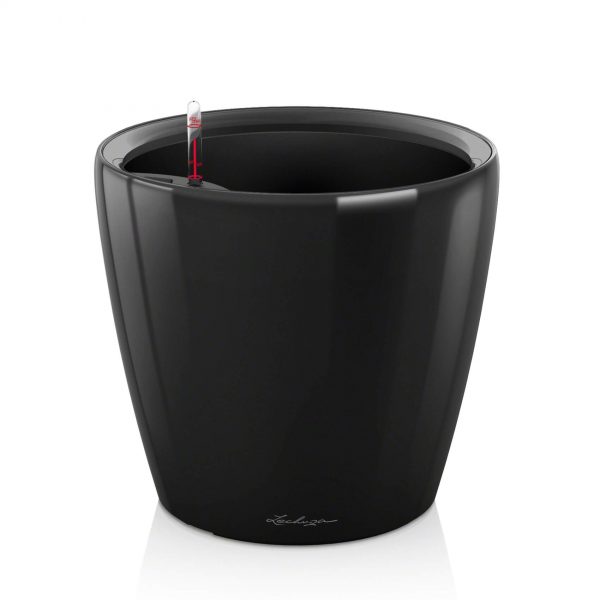 Lechuza Classico Premium - All In One - Negru 28 cm
