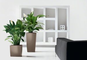 Lechuza Cube Premium - All in One Set - Alb 40 cm - imagine 5