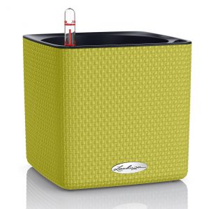 Lechuza Cube Color - All In One Set - Verde 16 cm