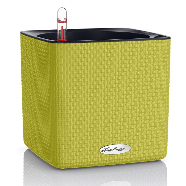 Lechuza Cube Color - All In One Set - Verde 16 cm - imagine 1