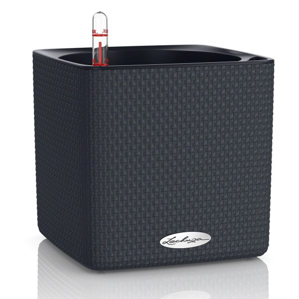 Lechuza Cube Color - All In One Set - Gri 14 cm