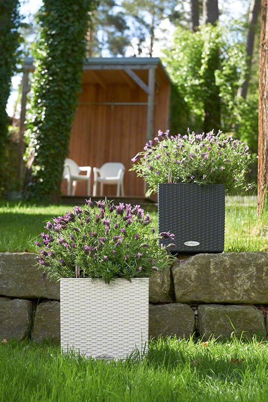 Lechuza Cube Cottage - All in One Set - Granit 50 cm - imagine 2