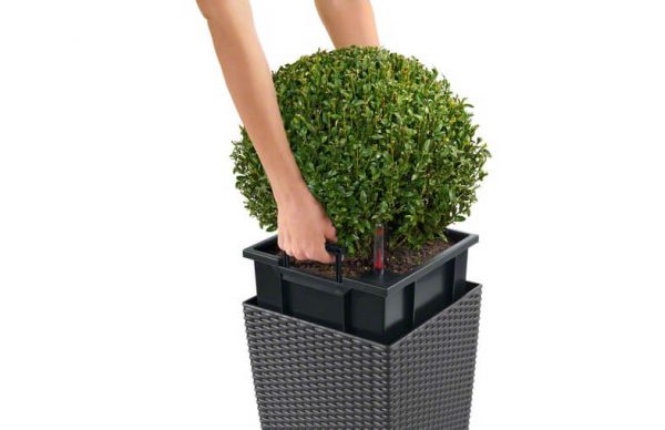 Lechuza Cube Cottage - All in One Set - Granit 50 cm - imagine 7