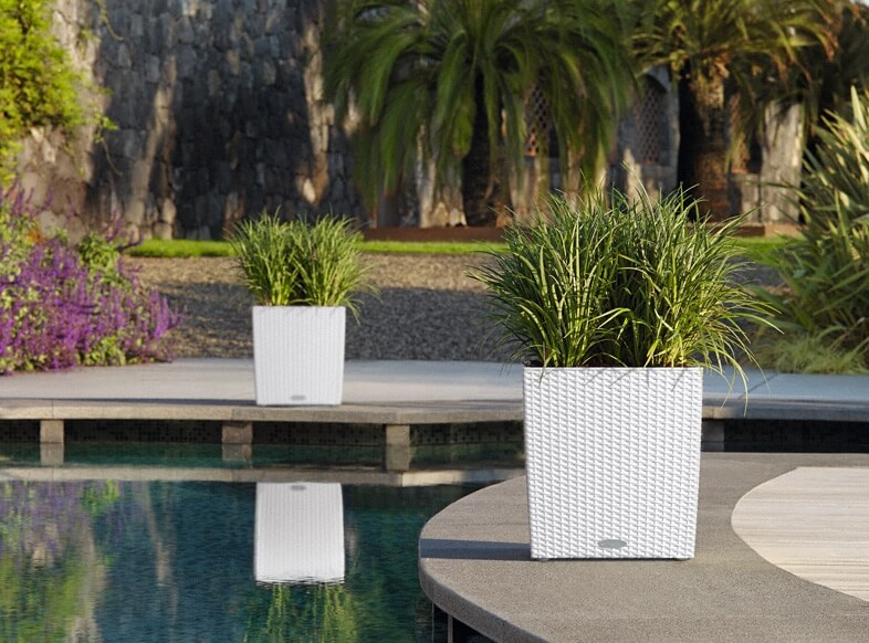 29_addi_cube_cottage_40_2_w_liriope_muscari_large Lechuza Cube Cottage - All in One Set - Granit 50 cm - imagine 8