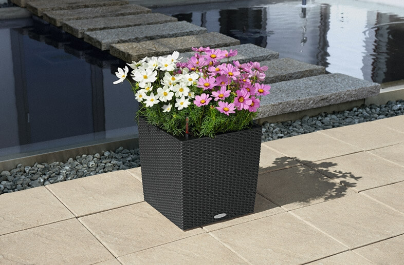 29_addi_cube_cottage_40_gra_cosmea_large Lechuza Cube Cottage - All in One Set - Granit 50 cm - imagine 3