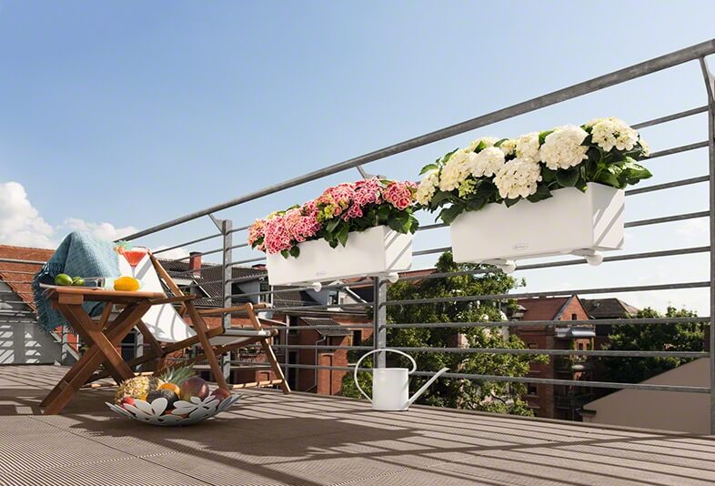 2_addi_balconera_color_80_w_hydrangea_macrophylla_large Lechuza Balconera Color - All In One - Albastru 50 cm - imagine 2