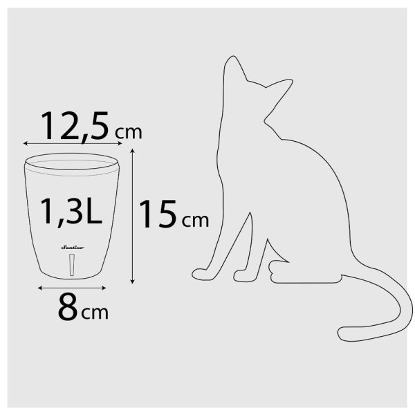 Ghiveci Happy Plants  Orchidea' Twin- antracit 1.3L (15 cm) - imagine 7