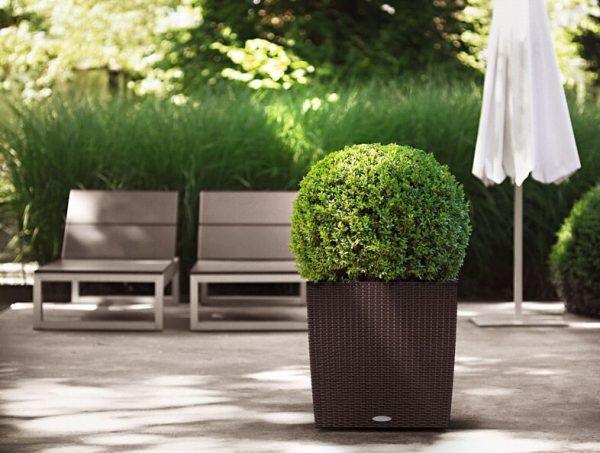 Lechuza Cube Cottage - All in One Set - Granit 50 cm - imagine 11