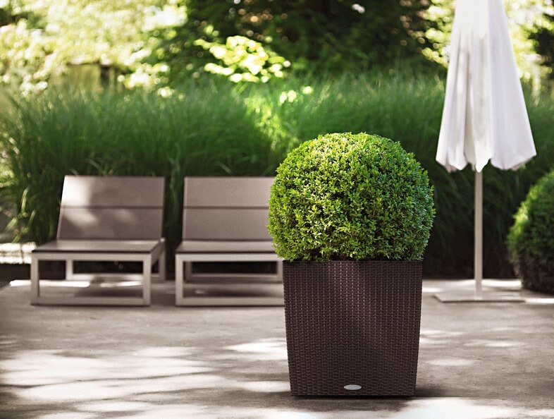 30_addi_cube_cottage_50_mok_buxus_large Lechuza Cube Cottage - All in One Set - Granit 50 cm - imagine 11