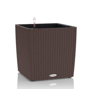 Lechuza Cube Cottage - All in One Set - Maro 50 cm