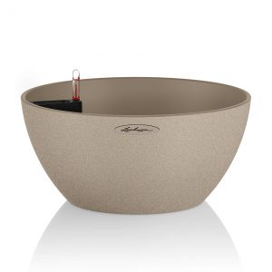Lechuza Cubeto Color - All In One - Bej 40 cm