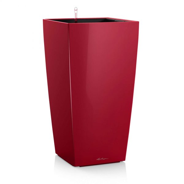 Lechuza Cubico Premium - All in One Set - Rosu scarlet 22 cm