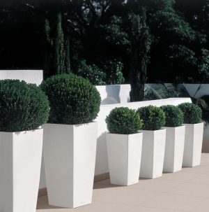 Lechuza Cubico Premium - All in One Set - Antracit 40 cm - imagine 13