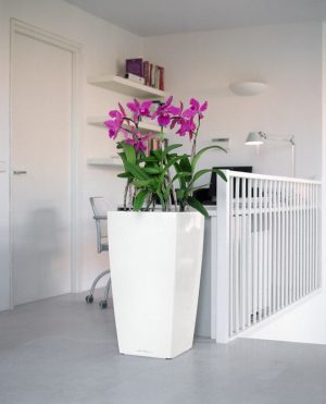 Lechuza Cubico Premium - All in One Set - Antracit 40 cm - imagine 3