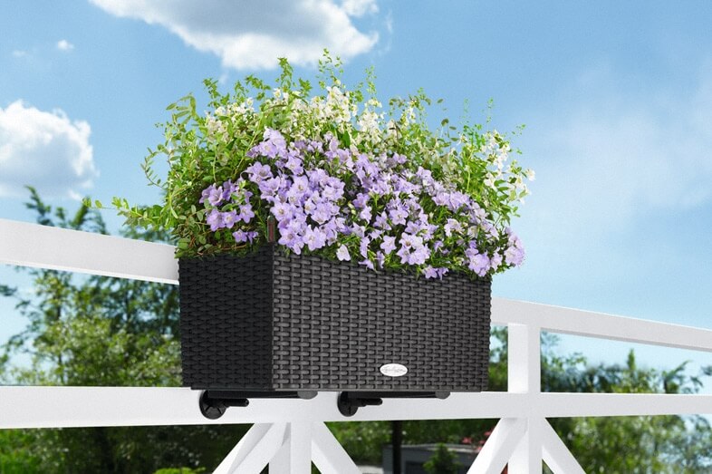 3_addi_balconera_cottage_50_gra_campanula_salvia_large Lechuza Balconera Cottage - All in One Set - Maro 50 cm - imagine 14