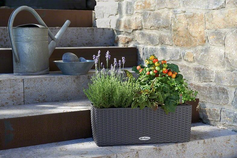 3_addi_balconera_cottage_50_gra_kraeuter_gemuese_large Lechuza Balconera Cottage - All in One Set - Maro 50 cm - imagine 15