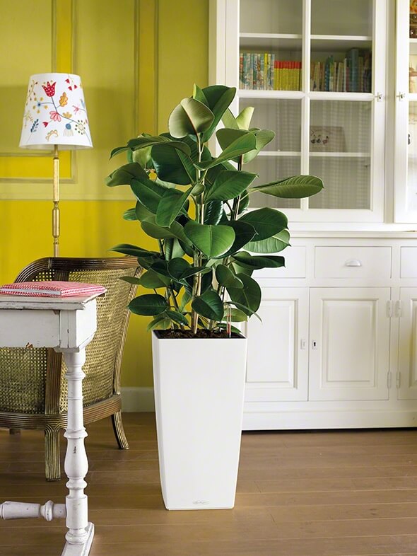 Lechuza Cubico Color - All in One Set - Alb 40 cm - imagine 7