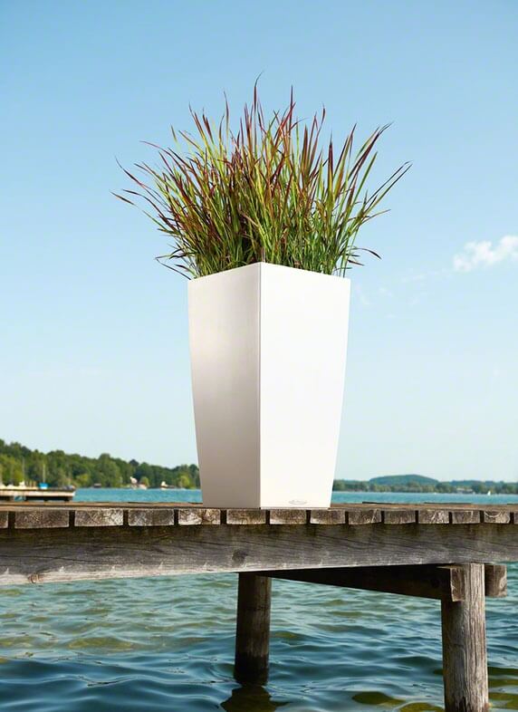 Lechuza Cubico Color - All in One Set - Alb 40 cm - imagine 8