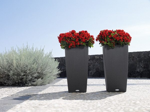 Lechuza Cubico Cottage - All in One Set - Granit 40 cm - imagine 12