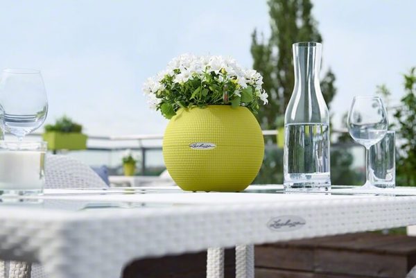Lechuza Puro Color - All In One - Gri 20 cm - imagine 9