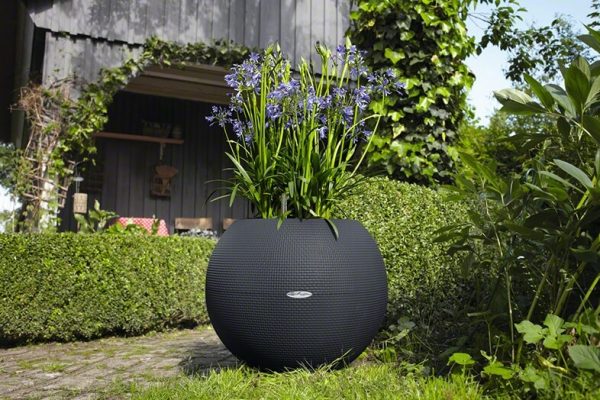 Lechuza Puro Color - All In One - Gri 20 cm - imagine 11
