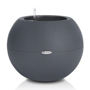Lechuza Puro Color - All In One - Gri 20 cm