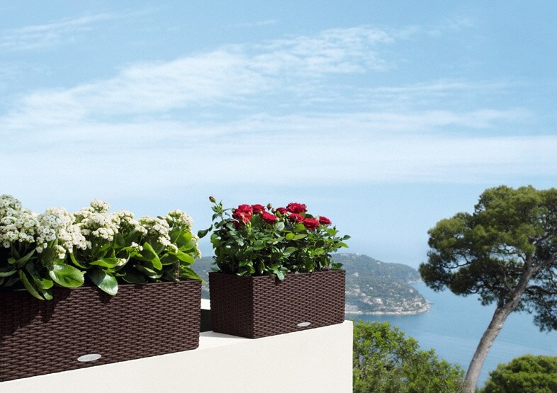 4_addi_balconera_cottage_50_80_mok_kalanchoe_rosa_large Lechuza Balconera Cottage - All in One Set - Maro 50 cm - imagine 10