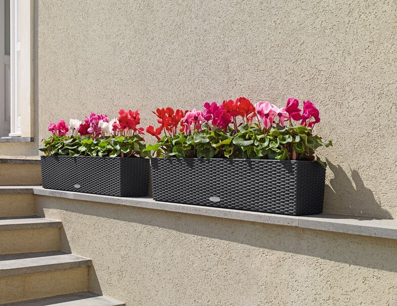 4_addi_balconera_cottage_80_2_gra_cyclamen_large Lechuza Balconera Cottage - All in One Set - Maro 50 cm - imagine 11