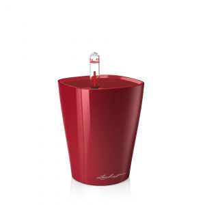 Lechuza Mini Deltini Premium - All In One - Rosu scarlet