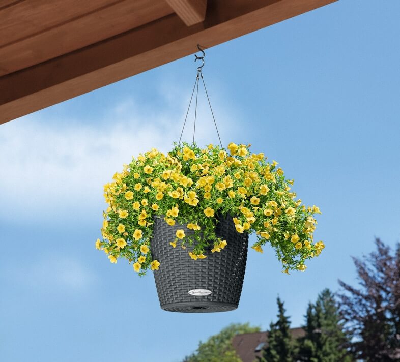 53_addi_nido_cottage_gra_petunia_2_large Lechuza Nido Cottage - All in One - Maro 27 cm - imagine 2