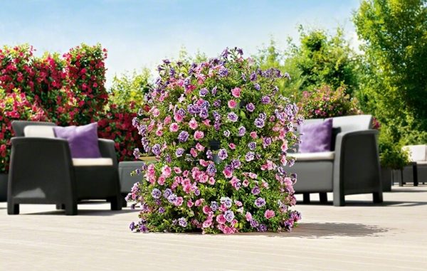 Lechuza Cascada Color - un singur vas - imagine 6