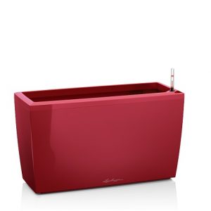Lechuza Cararo Premium - All In One Set - Rosu 75cm