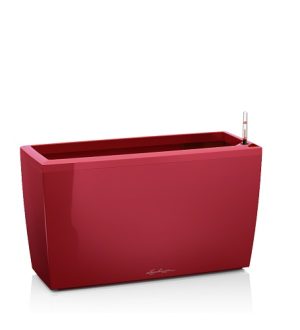 Lechuza Cararo Premium - All In One Set - Rosu 75cm