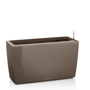 Lechuza Cararo Premium - All In One Set - Taupe 75cm
