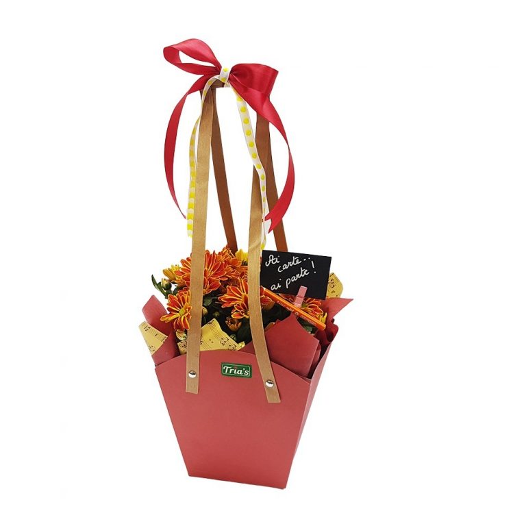 Aranjament din plante naturale Back to school nr.2