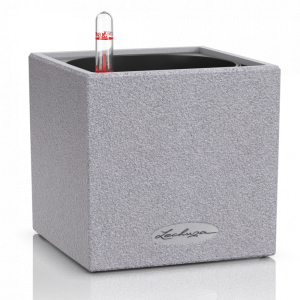 Lechuza Canto Stone - All In One Set - Gri 14 cm