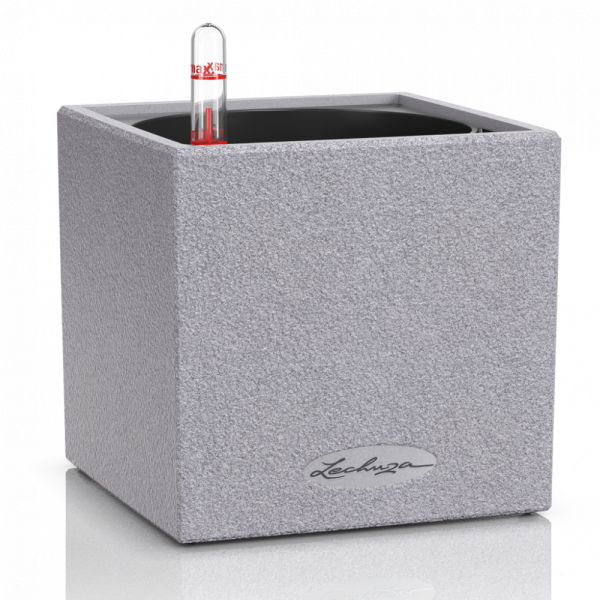 Lechuza Canto Stone - All In One Set - Gri 14 cm