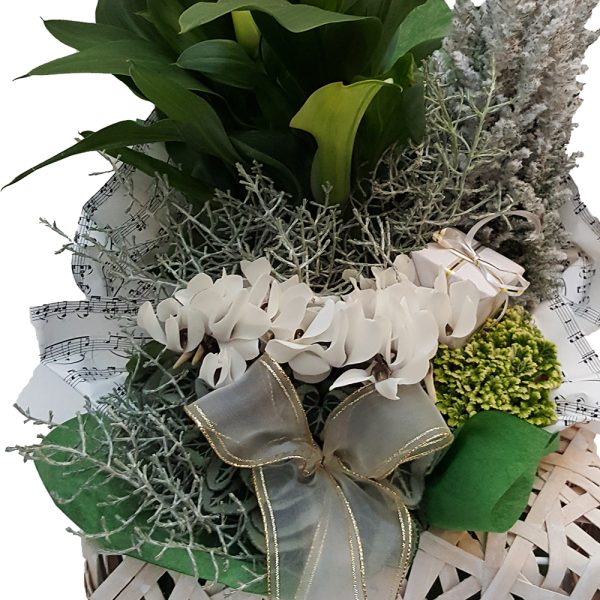 Decor din plante naturale nr.17 - imagine 2