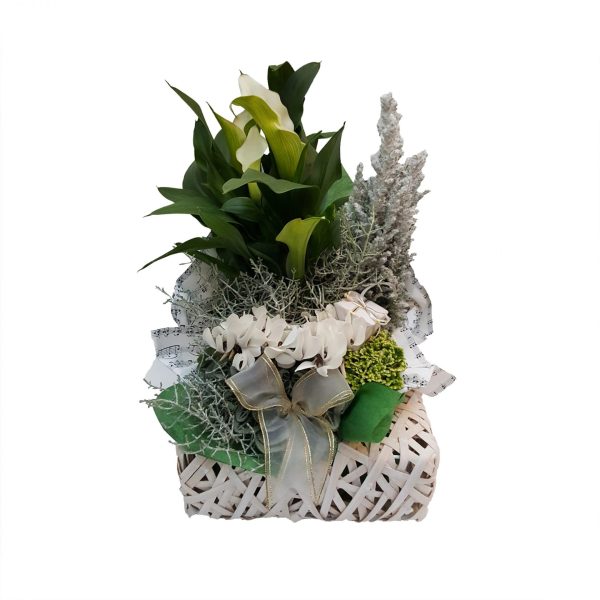 Decor din plante naturale nr.17 - imagine 1