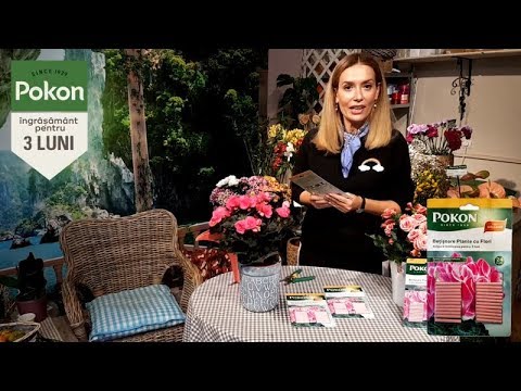 Floraria-Trias-Betisoare-ingrasamant-pentru-plante-cu-flori-POKON