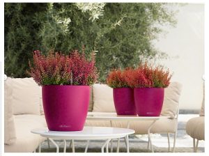 Lechuza Classico Color - All in One Set - Alb 21 cm - imagine 4